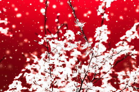 圣诞节、新年红色花卉背景、节日贺卡设计、花树和雪花作为豪华美容品牌的冬季促销背景