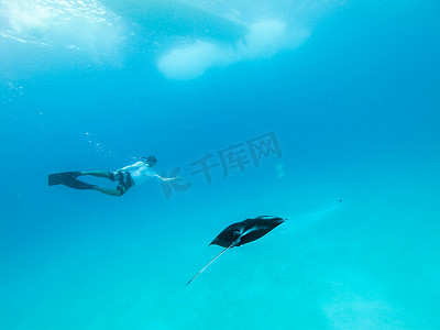 盘旋的巨型海洋蝠鲼、Manta Birostris 和在蓝色海洋中自由潜水的人的水下视图。