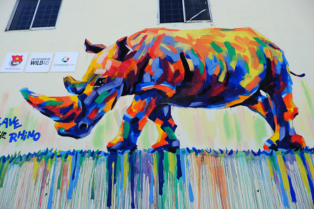 犀牛涂鸦艺术，犀牛绘画