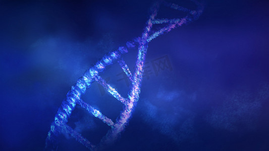 DNA 双螺旋结构模型的片段，3D 渲染。