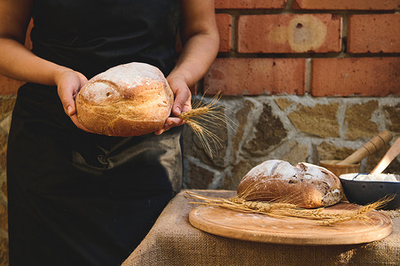 专注于自制健康全麦酸黑麦面包和麦穗，在黑围裙的女面包师手中