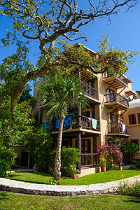 墨西哥普拉亚德尔卡门的树丛中美丽的黄色别墅酒店