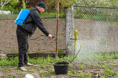 年长的农民用手动泵喷洒葡萄园。