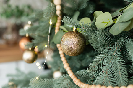 挂在树上的圣诞灯