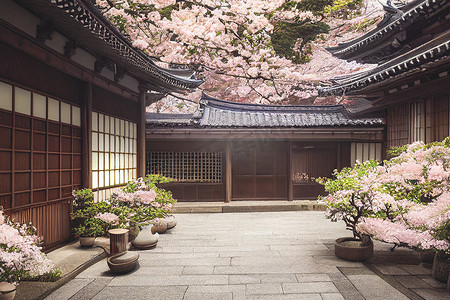 日本老城樱花树的 3D 渲染