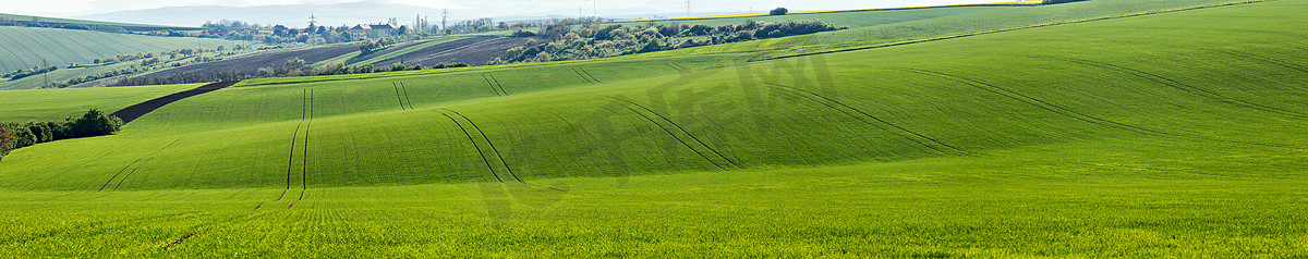 春天耕种摄影照片_春天的绿色山丘。