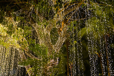 串灯摄影照片_夜间花园树上挂着装饰性户外串灯