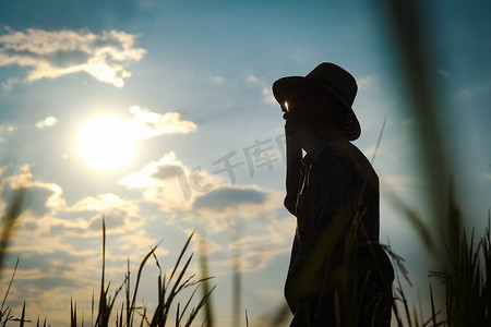 徽州农田摄影照片_日落时站在稻田里检查庄稼的高级农民的轮廓。