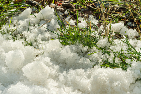 冬春季节摄影照片_冬春概念背景下绿草上融化的雪