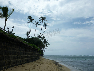沙滩上有熔岩岩墙和头顶上的椰子树