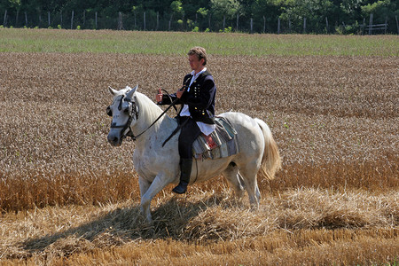 克罗地亚达沃尔，小麦收获期间，身着民族服装的男子骑马穿过麦田
