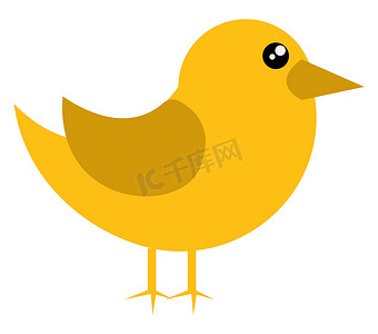 小黄鸟，插图，白色背景上的矢量