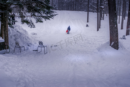 孩子们在降雪的森林里玩耍