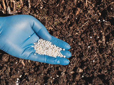 早春土壤氮肥施用、植物护理