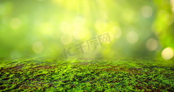 绿色植被背景摄影照片_绿色青苔背景，青苔纹理