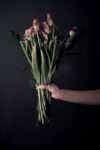 女手捧着一朵呆滞的花。