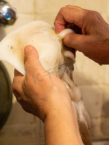 亚得里亚海摄影照片_在家清洗、切割、准备和烹饪亚得里亚海墨鱼