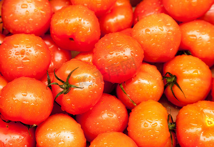 雨淋摄影照片_成熟的西红柿在市场上被雨淋湿