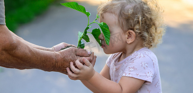 孩子和奶奶正在植树。