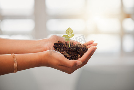 企业人员手中持有植物种子、土壤生长，以实现生态友好、地球公司的可持续发展或环境意识。