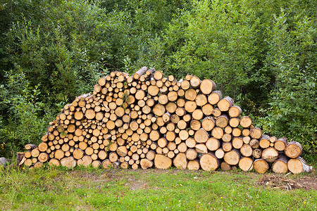 木头堆摄影照片_堆放在木堆中等待干燥的木材