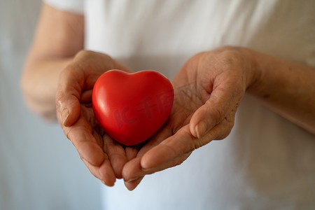 手握红心、医疗保健、爱、器官捐赠、正念、福祉、家庭保险和企业社会责任概念、世界心脏日、世界卫生日、国家器官捐赠日
