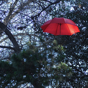漂浮在树上的红色复古雨伞