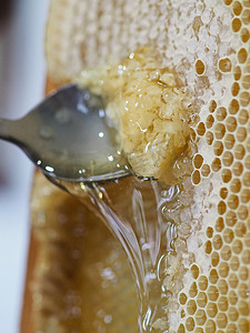 蜂巢边框摄影照片_养蜂人在家从蜂巢中提取和滴落有机蜂蜜