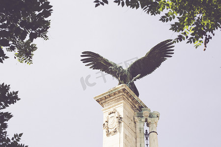 布达佩斯传奇之鹰