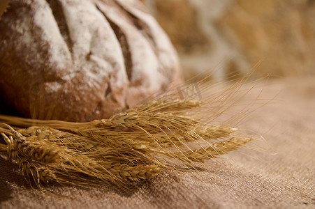 bre摄影照片_有选择地关注小麦的小穗和覆盖着粗麻布的桌子上模糊的自制全麦新鲜出炉的面包