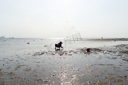 八市摄影照片_2022年3月15日，泰国帕岸岛：老妇人在海上寻找蛤蜊