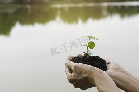 人类双手捧着绿色小植物生命概念。