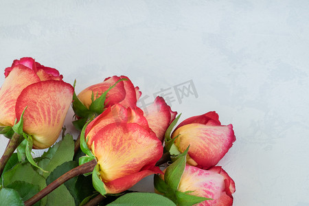 一束美丽的黄红玫瑰位于浅色背景上，具有石膏质感