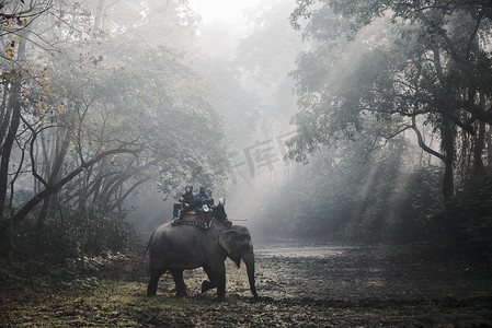 魔女之旅摄影照片_尼泊尔奇特旺的大象之旅
