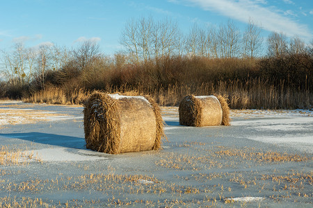 草地上结冰的水里的干草捆