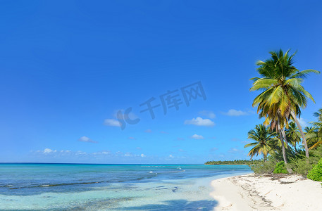 暑假横幅摄影照片_在异国情调的热带海滩上的棕榈树。