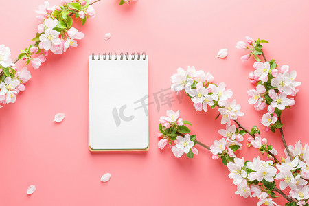 粉色春天模板摄影照片_粉红色背景上盛开的春天樱花，带有记事本空间，用于问候消息。