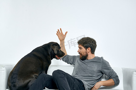 男主人在沙发上和狗玩耍训练有趣的光室朋友宠物