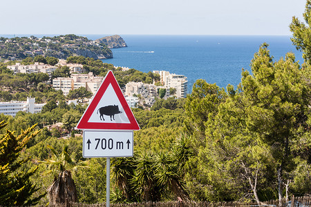 信息交通标志摄影照片_注意-野猪-交通标志，西班牙，欧洲