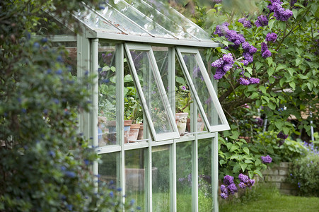 窗玻璃摄影照片_后花园的温室，开窗通风