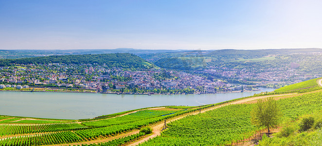 莱茵河峡谷或上中莱茵河谷酿酒区全景