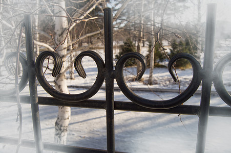 美丽的装饰铸铁栅栏，在雪和树木的背景上具有小插图效果
