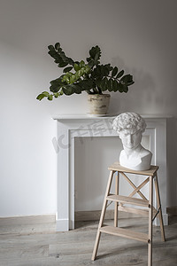 在假壁炉面板和陶罐中的 Zamioculcas 植物的背景下，高脚凳上的大卫石膏头像装饰了室内。