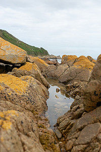 海边玫瑰摄影照片_在布列塔尼阿摩尔海岸徒步旅行