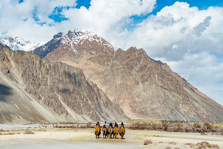行走的骆驼摄影照片_亨德是印度查谟和克什米尔列城地区的一个村庄，一群人骑着骆驼在沙丘上行走。