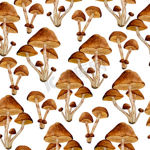 手绘棕色摄影照片_水彩手绘无缝图案有毒危险蘑菇插图的 webcap 真菌。