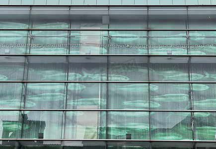 现代办公楼外墙采用玻璃和反射阳光
