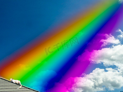 上帝对屋顶上的猫的彩虹