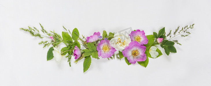 玫瑰花组合摄影照片_带有野玫瑰花的装饰组合物