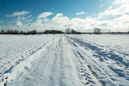 积雪的农村路和农田，晴天